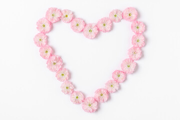 Heart symbol made of pink blossoming spring flowers isolated on white background. Love concept. Flat lay. Top view