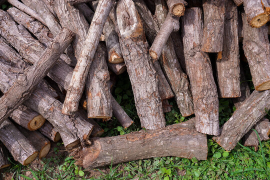 Stacks of firewood on grass. Preparation of firewood for the winter.