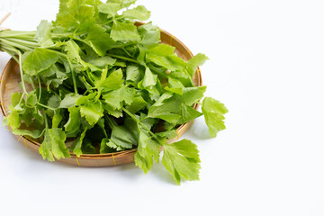 Chinese celery on white background.
