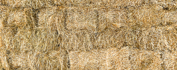 haystack background, dry grass shot in horizontal photo © TISHKOVA