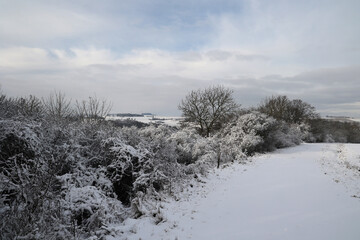 Snow covered fields in a frosty winter morning