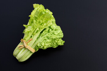 Chinese Cabbage on white background.