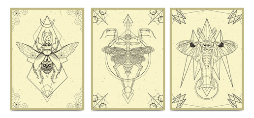 Hand drawn insect illustration, Abstract poster collection