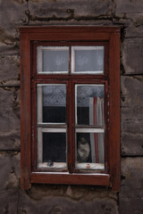 The cat and snowman look out the window of an old country house with curtains.