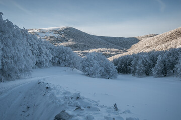 Fototapeta na wymiar Winter wonderland: panoramic view of Monte Cucco with many snow on day of january