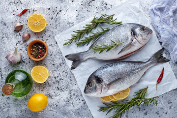 Raw fresh organic dorado or sea bream on stone or concrete background.Top view .
