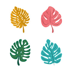 tropical leaf natural botanical exotic icon set flat design