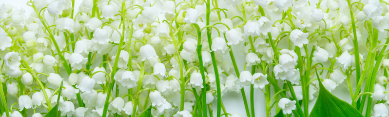 Beautiful Spring nature background with Lily of the valley flowers. Bouquet of spring flowers. Banner.