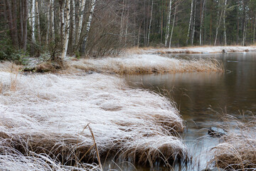 Frost hay landscape in winter nature