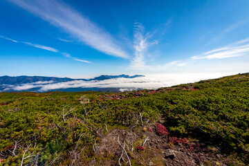 Fototapeta na wymiar 北海道・大雪山系の赤岳で見た、地面に広がる紅葉や緑の木々と青空、迫り来る雲海