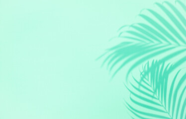 Fototapeta na wymiar Shadow of tropical palm tree leaf on green background, copyspace. Minimal summer concept