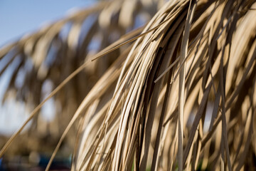 Palm dry leaves as the roof at the beach umbrella