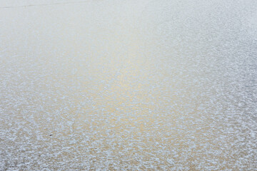 Fototapeta na wymiar Frozen lake surface and snow
