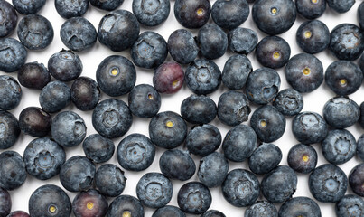 Background from black berries on a white background.
