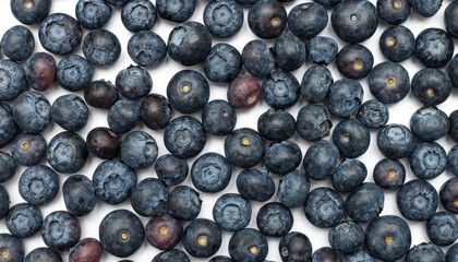 Background from black berries on a white background.