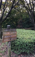 A sign in a Japanese park; urban design, Tokyo. Translation of the text: