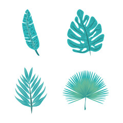 tropical palm leaf foliage nature flora icon set flat design
