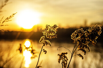 Sch&ouml;nes Deutschland