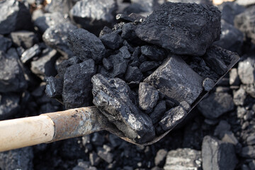 Large chunks of coal in a shovel. Fuel for the boiler. House heating