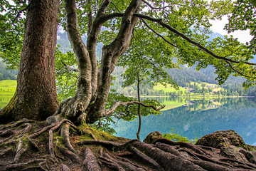 Sch&ouml;nes Deutschland