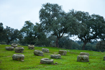 Comederos de granito, Parque Natural Sierra de And&uacute;jar, Jaen, Andaluc&iacute;a, Espa&ntilde;a