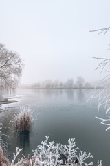Winter landscape in soft blue tones with calm winter river lake, surrounded by frozen trees. Winter nature landscape with snowy frozen trees, beautiful frozen lake with reflection in water