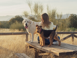 Girl with two dogs in the sun