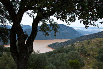 Fototapeta na wymiar Embalse del Río Jándula, Parque Natural Sierra de Andújar, Jaen, Andalucía, España