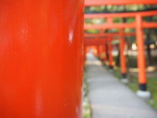 稲荷神社の参道と連なる赤い鳥居