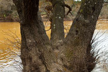 Río Jándula, Parque Natural Sierra de Andújar, Jaen, Andalucía, España