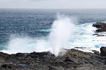 The geyser of the ocean in the Galapagos Islands