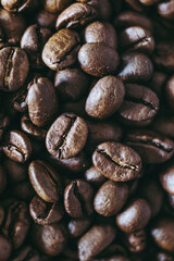Grains de café en fond - Arrière plan grains de café