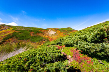 北海道の大雪山系・赤岳で見た、一面に広がる紅葉や緑の風景と快晴の青空