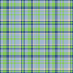 Plaid seamless pattern. Vector background of textile ornament. Flat fabric design.