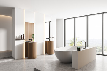 Naklejka na ściany i meble Luxury panoramic bathroom corner with tub and sink