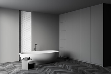 Fototapeta na wymiar Stylish gray and white bathroom corner with tub
