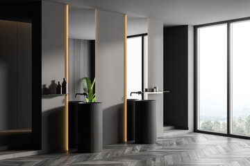 Luxury panoramic gray bathroom corner with double sink