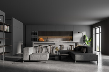 Gray living room and kitchen interior