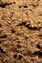 cork natural bark industry macro abstract background cork