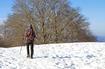 senderista montañera mujer con bastones grampones raquetas en la nieve bosque país vasco...