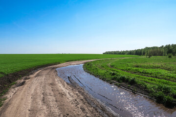 A dirt road with a large puddle of passing cars. A place where cars get into the mud and slip. A road along a field with green fresh grass.       