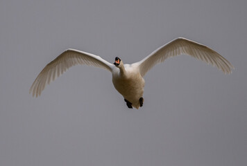 , on a dull grey day