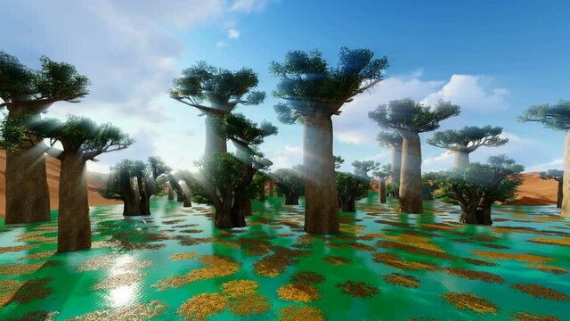 Baobabs alley in Madagascar on a beautiful day