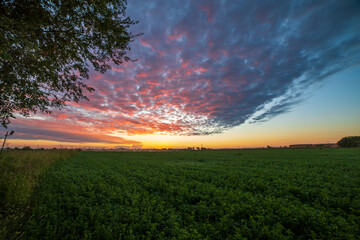 Amazing sky during the dawn.