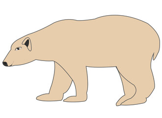 Wildlife polar bear type from the side