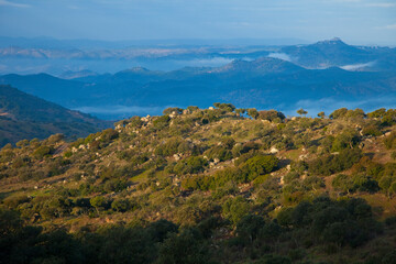 Bosque Mediterráneo, Parque Natural Sierra de Andújar, Jaen, Andalucía, España