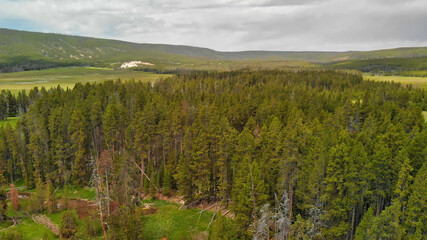 Yellowstone forest panoramic aerial view in summer season, Wyoming, USA
