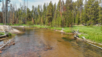 Yellowstone forest and river panoramic aerial view in summer season, Wyoming, USA