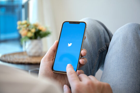 Man hand holding iPhone 12 Pro Max Gold with Twitter