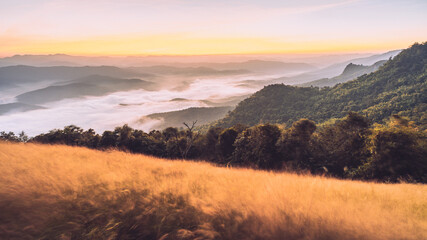 the grasses and cloud before sunrise